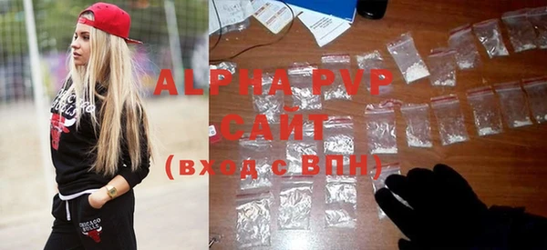 PSILOCYBIN Богданович