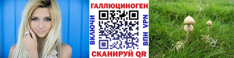 Псилоцибиновые грибы MAGIC MUSHROOMS  Мосальск 